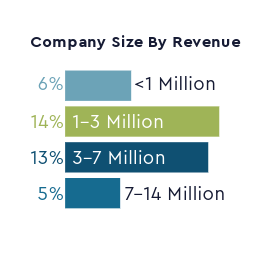 Company size by revenue